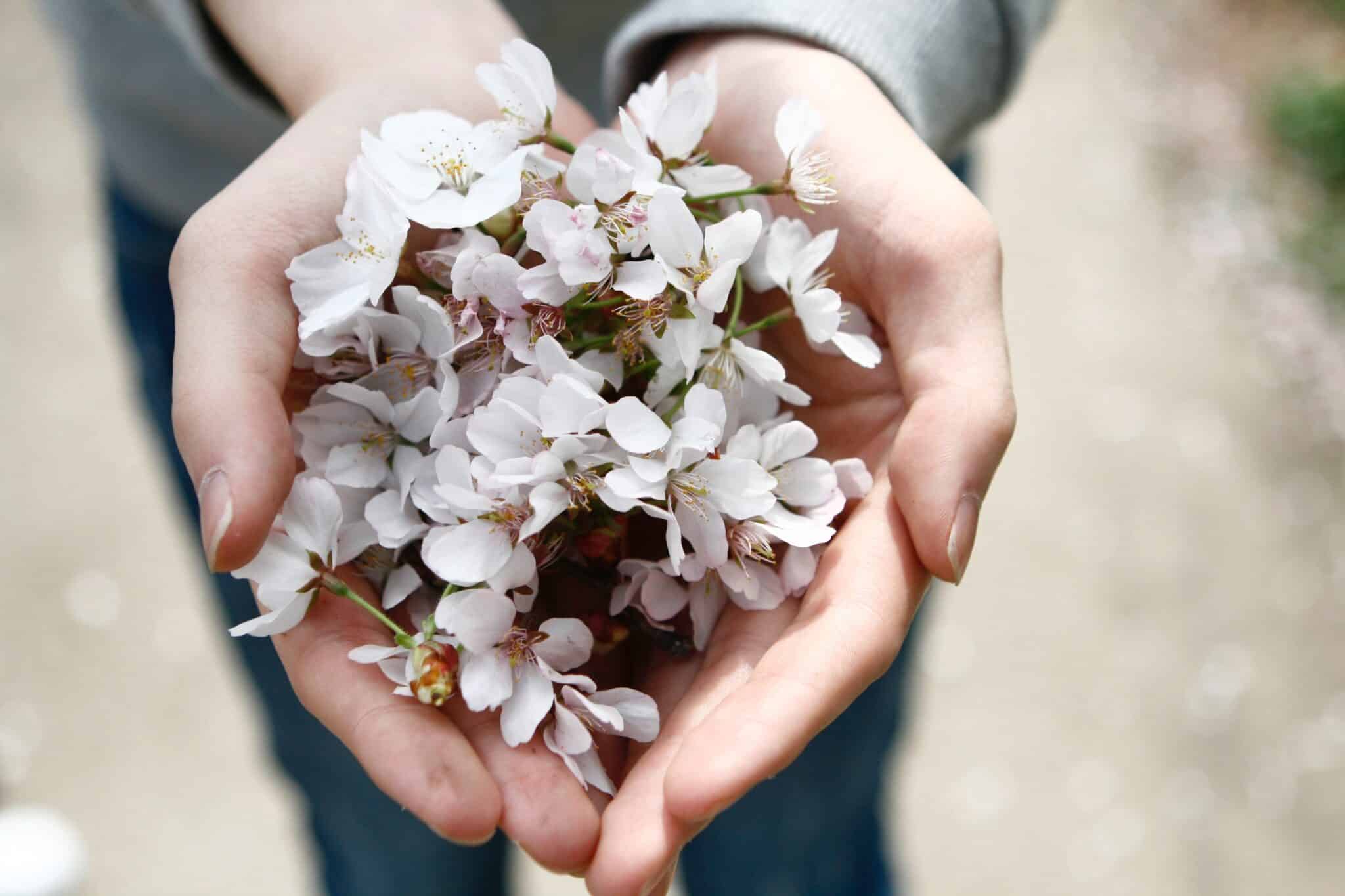holding flowers | Photo by Chungkuk Bae on Unsplash