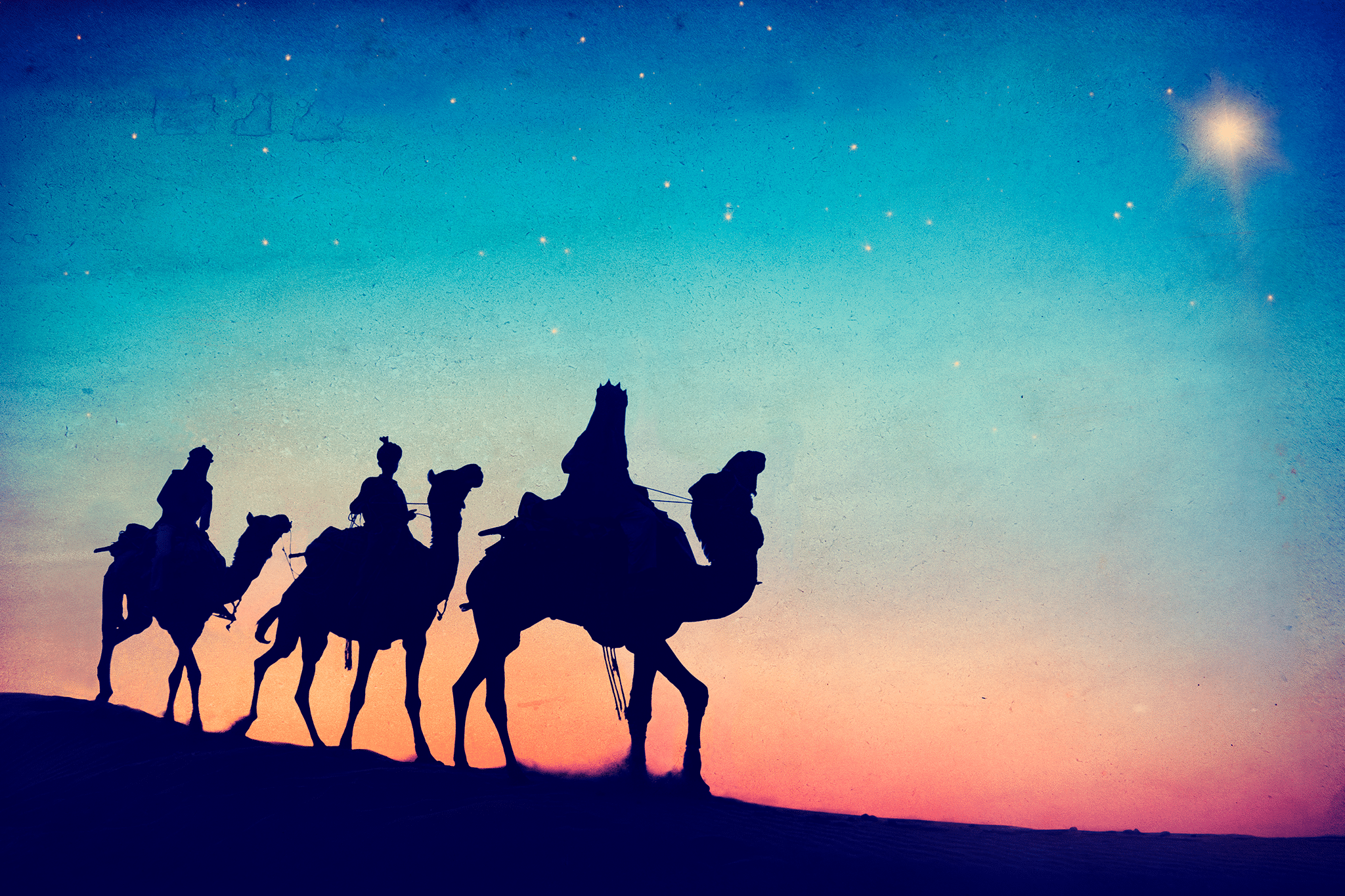 camels in the desert